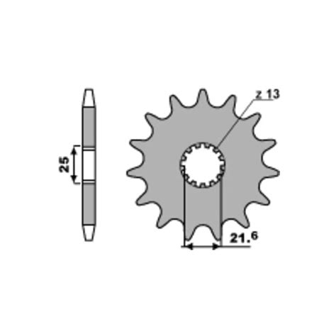 Pignon Pbr Acier Standard Pignon