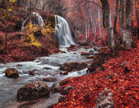 Autumn Forest Waterfall