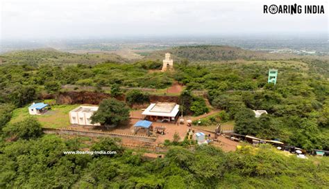 Dandoba Hills Forest Reserve Miraj, Sangli Maharashtra - Roaring India ...