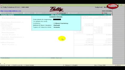 Learn Tally In English Profit And Loss Account Tally Erp Full