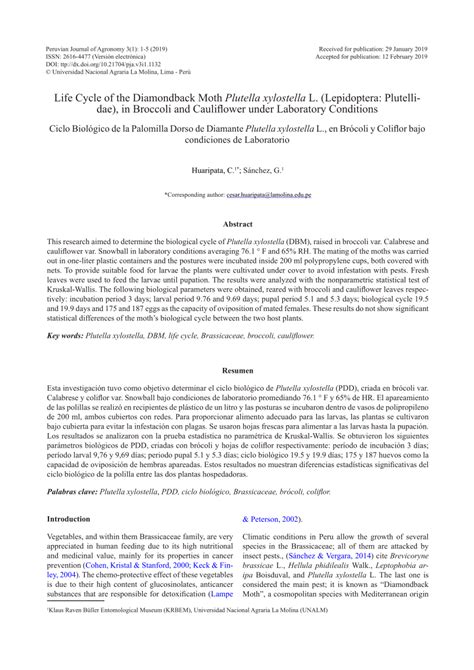 (PDF) Life Cycle of the Diamondback Moth Plutella xylostella L ...