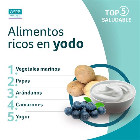 El Yodo Es Indispensable Para El Funcionamiento De La Tiroides Una