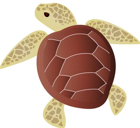 Sea Turtle Clipart Free Turtle Graphics For Download