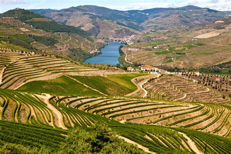 The Douro Valley Port Wine Region Of Portugal