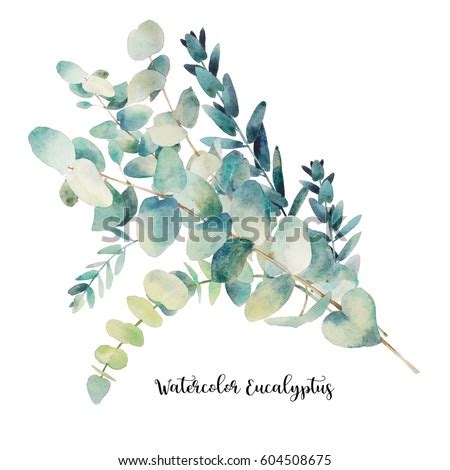 Watercolor Eucalyptus Wreath Hand Painted Floral Stock Illustration