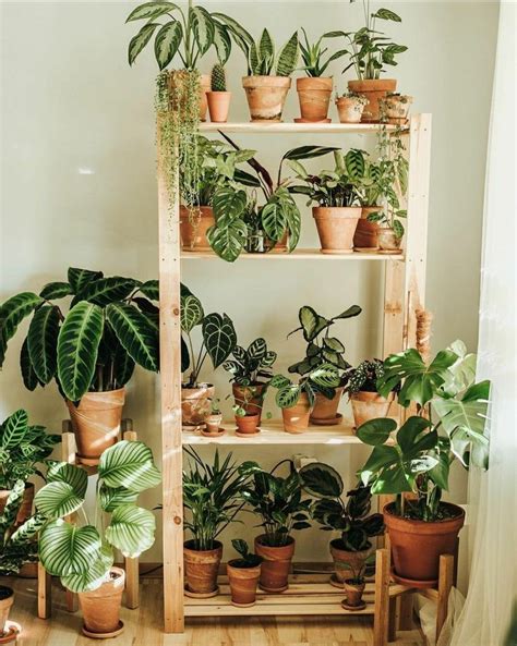 Plant Decor Indoor House Plants Decor House Plants Indoor Inside