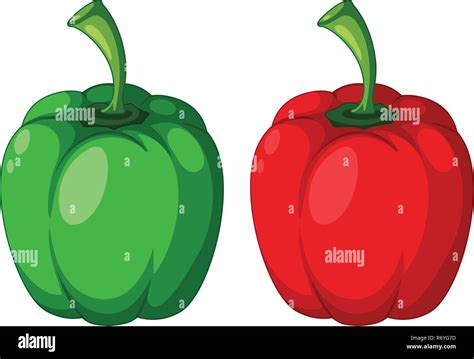 Green And Red Capsicum Illustration Stock Vector Image Art Alamy