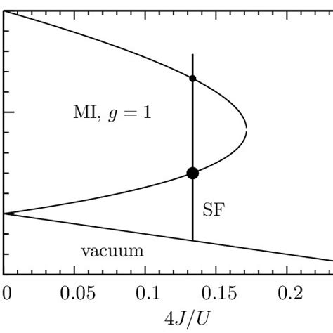 Qualitative Zero Temperature Phase Diagram Of The Homogeneous