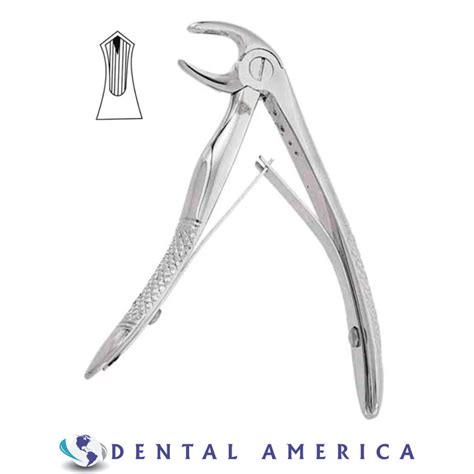 Forceps Pediatrico N Dental America Distribuidora De Equipos