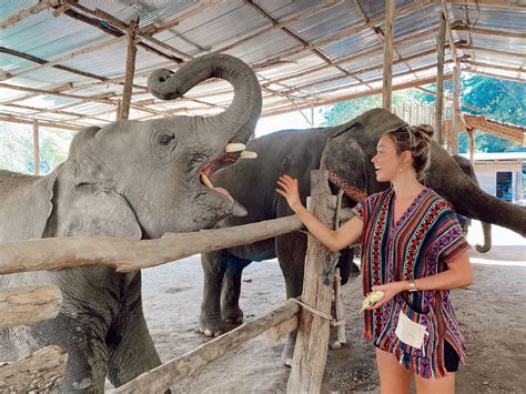 Katrina Bowden Sexy Photoshoot Hot Celebs Home