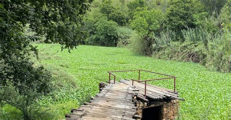 Brown Wooden Log Bridge in a Field · Free Stock Photo