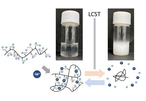 Thermoresponsive Polymers Insights Into Decisive Hydrogel 52 Off