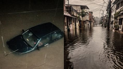 São Paulo entra em estado de atenção após temporal árvore cai e atinge