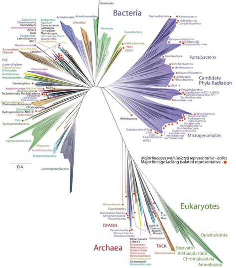 3 7 Cells The Evolution And Biology Of Sex