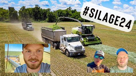 Chopping Triticale Silage Claas Forage Harvester Youtube