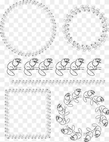 Кошка в рамке png | PNGWing