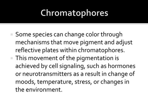 PPT - CHROMATOPHORES PowerPoint Presentation, free download - ID:2120782