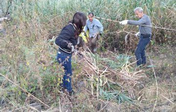 Voluntarios Se Unen Para Labores Contra Incendios En Zonas Naturales