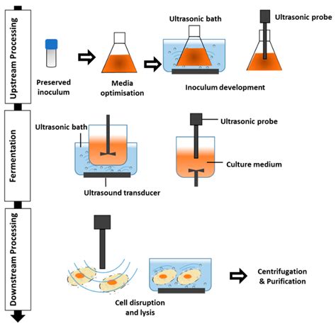 Molecules Free Full Text Exploitation Of Ultrasound Technique For