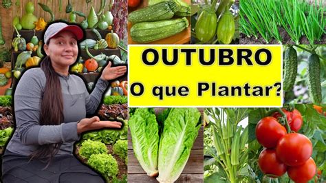 O Que PLANTAR Em OUTUBRO ADUBO PODEROSO Para Suas PLANTAS VIDA VERDE