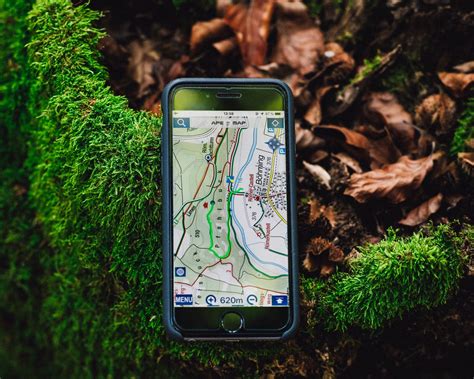 Geocaching in Seattle — FIUTS | Foundation for International