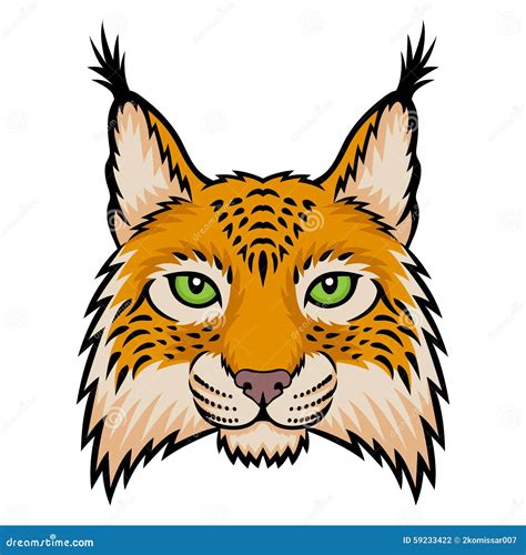 Lynx Illustration De Vecteur Illustration Du Verticale