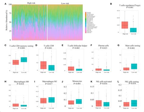 Immune Landscape Between High And Low Hypoxia Risk Score Groups Of