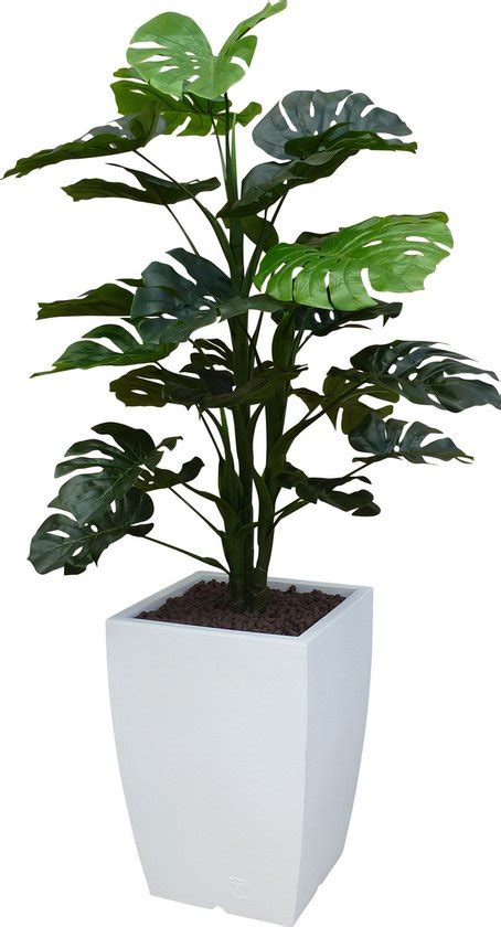 Htt Kunstplant Monstera In Genesis Vierkant Wit H Cm Bol