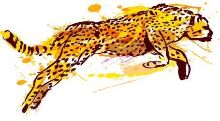 Colored Hand Sketch Head Roaring Jaguar Royalty Free Vector