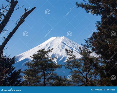 Looking Through The Trees At The Highest Mountain In Japan Mt Fuji In