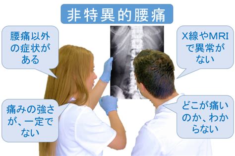 腰痛を正しく理解する／基礎知識5つのポイント 腰痛 マットレス