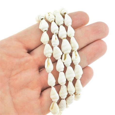 Conch Natural Shell Beads Mm X Mm Ivory Strand Beads