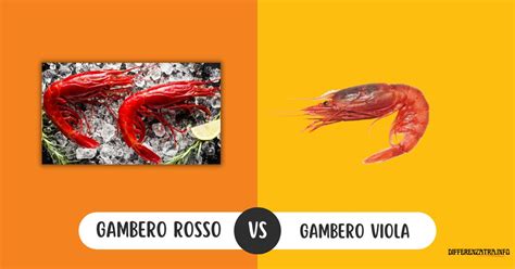 Differenza Tra Gambero Rosso E Gambero Viola Scopriamola