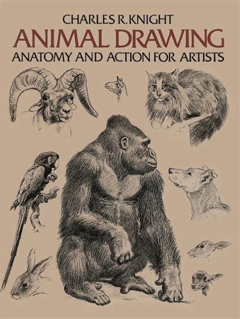 Animal Drawing: Anatomy and Action for Artists - Dover Books