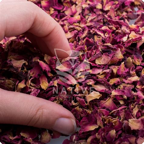 pure organic dried rose petal  rs kg  ahmedabad id