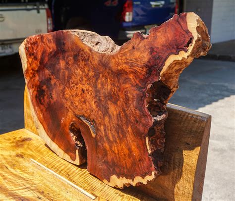 Red Amboyna Burl Lumber Natural Slab Wood Live Edge Table Top Etsy