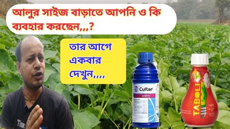 Syngenta Cultar Sumitomo Taboli Paclobutrazol এর কছ গপন তথয