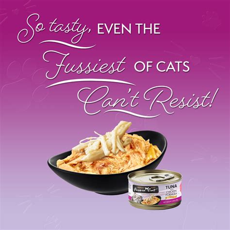 Fussie Cat Tuna with Chicken Formula in Gravy Wet Cat Food, 2.82-oz ...