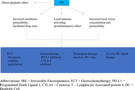 Frontiers The Synergistic Role Of Irreversible Electroporation And