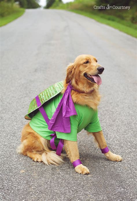 Fun Teenage Mutant Ninja Turtle Dog Costume