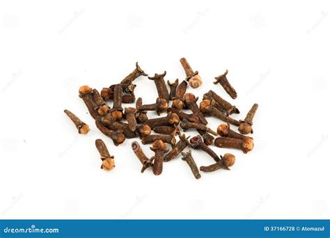 Cloves 1 stock photo. Image of cloves, spice, seasoning - 37166728