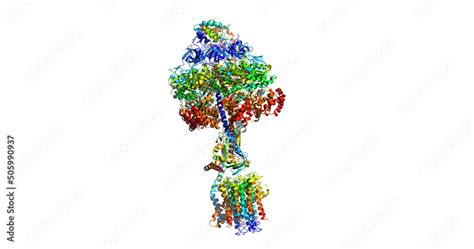 MITOCHONDRIAL ATP SYNTHASE, molecular machine, 3D molecule Stock ...