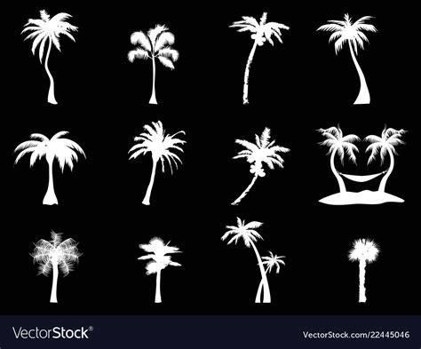 White palm tree icon on black background Vector Image