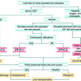 Classification Of Cholestasis According To Biochemical Data Image