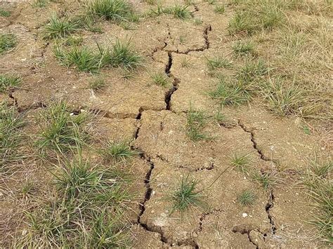 Revalorisation De Vos Eaux Pluviales Avec Nos Cuves De R Cup Ration