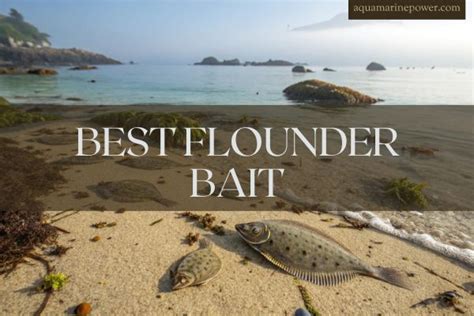 Best 10 Flounder Bait That Actually Work | Expert Guide 2026