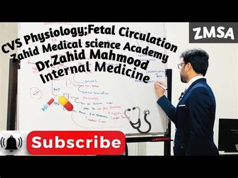 Cvs Physiology Lec 1 Part 1 Fetal Circulation Along Basic Terminology