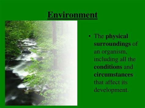 PPT - Environment PowerPoint Presentation, free download - ID:597072