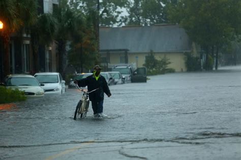 Photos of the Tampa Bay flood - The Adventures of Accordion Guy in the ...