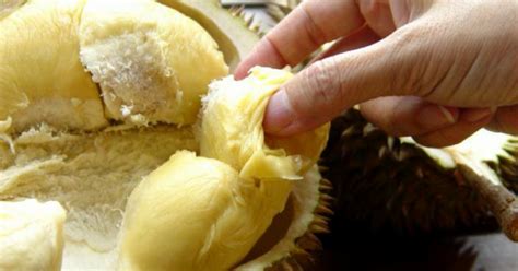 Perkara Wajib Perlu Tahu Sebelum Makan Durian Impiana